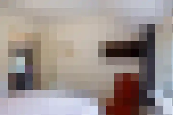 Boelewijk 5 De Wilp thumbnail 46