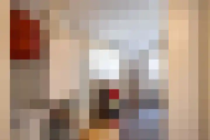 Boelewijk 5 De Wilp thumbnail 48