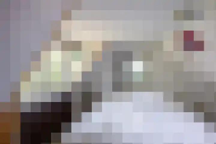 Boelewijk 5 De Wilp thumbnail 50