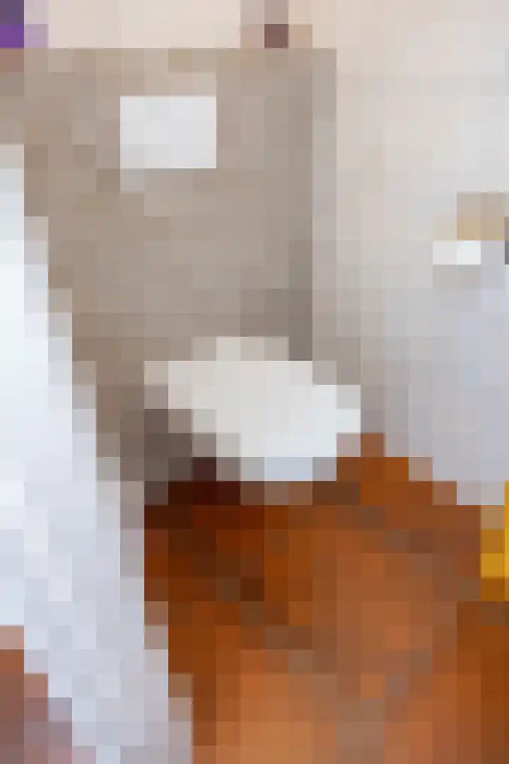 Boelewijk 5 De Wilp thumbnail 55