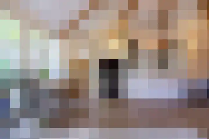 Boelewijk 5 De Wilp thumbnail 59