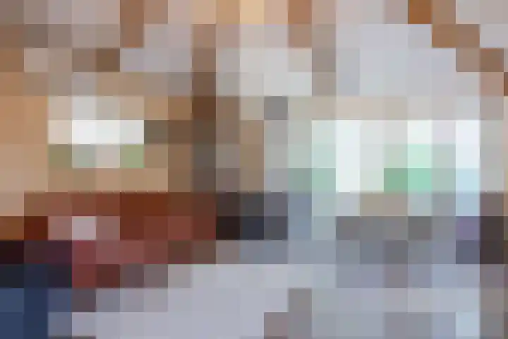 Boelewijk 5 De Wilp thumbnail 61