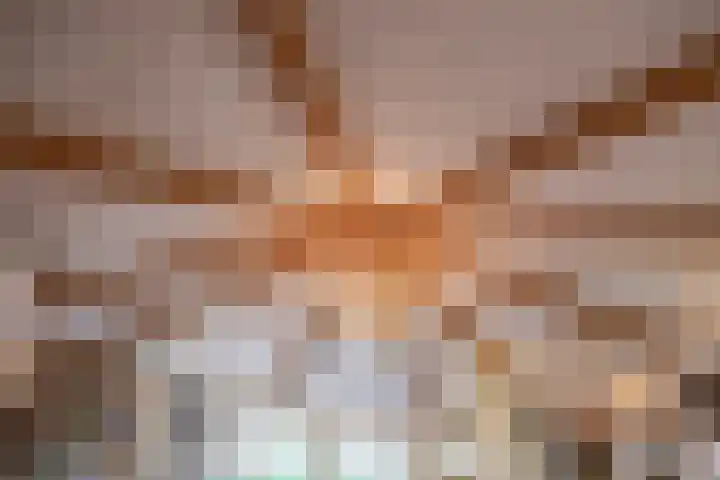 Boelewijk 5 De Wilp thumbnail 62