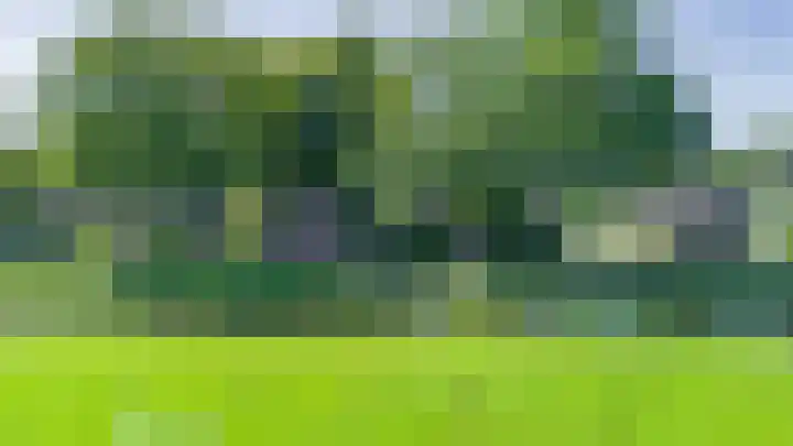 Boelewijk 5 De Wilp thumbnail 7
