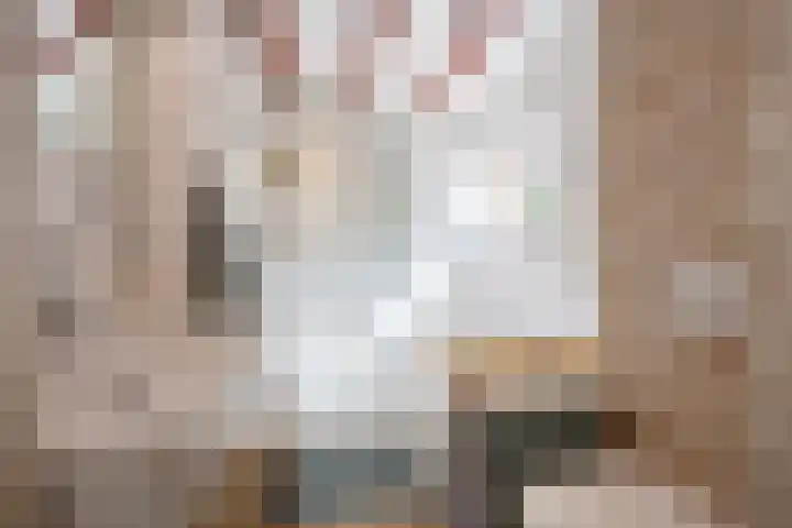 Boelewijk 5 De Wilp thumbnail 70