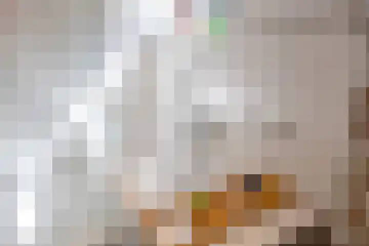 Boelewijk 5 De Wilp thumbnail 71