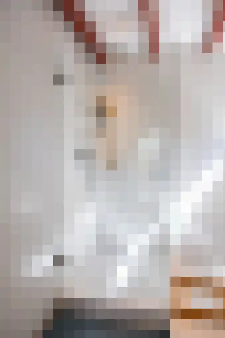Boelewijk 5 De Wilp thumbnail 72