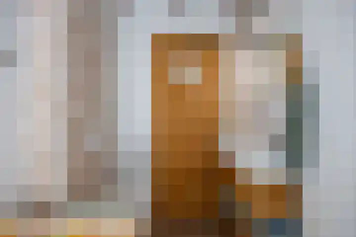Boelewijk 5 De Wilp thumbnail 73