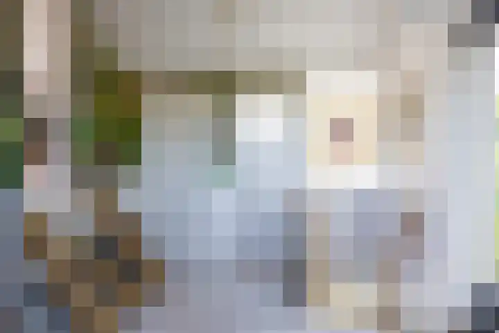 Boelewijk 5 De Wilp thumbnail 75