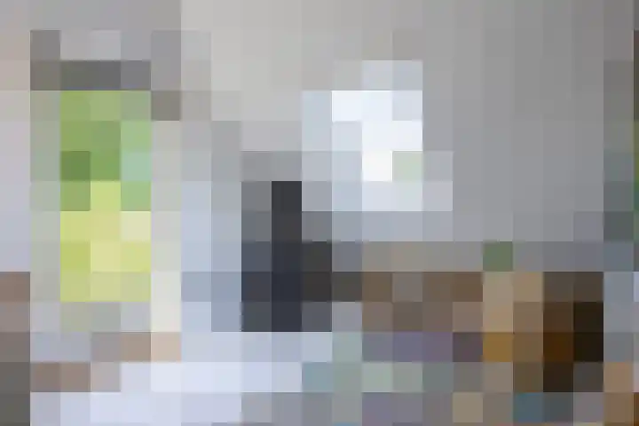 Boelewijk 5 De Wilp thumbnail 76