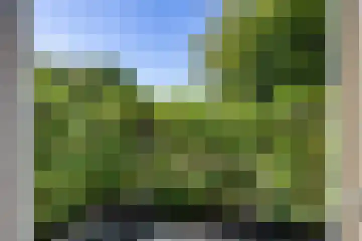 Boelewijk 5 De Wilp thumbnail 78