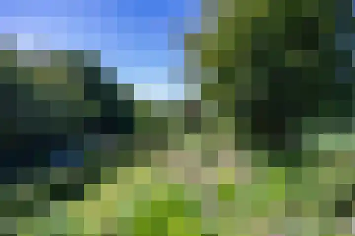 Boelewijk 5 De Wilp thumbnail 79