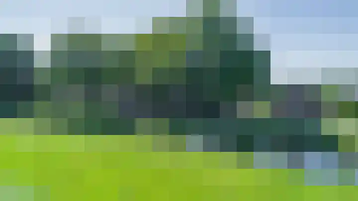 Boelewijk 5 De Wilp thumbnail 8