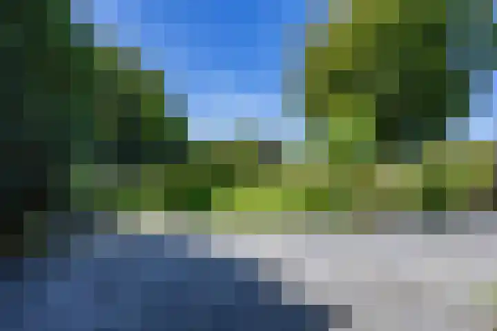 Boelewijk 5 De Wilp thumbnail 88