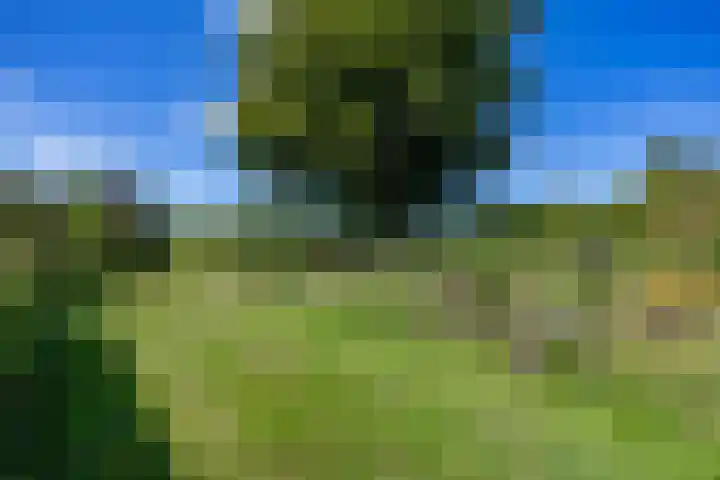 Boelewijk 5 De Wilp thumbnail 89