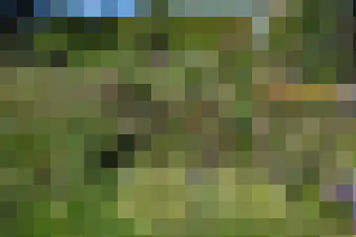 Boelewijk 5 De Wilp thumbnail 90