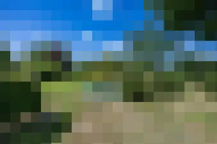 Boelewijk 5 De Wilp thumbnail 91