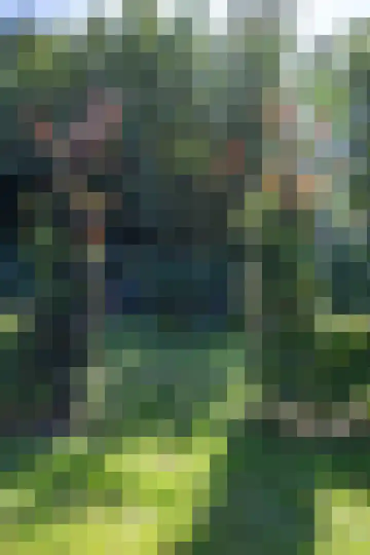 Boelewijk 5 De Wilp thumbnail 92