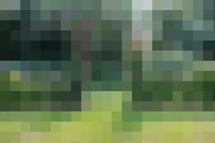 Boelewijk 5 De Wilp thumbnail 93