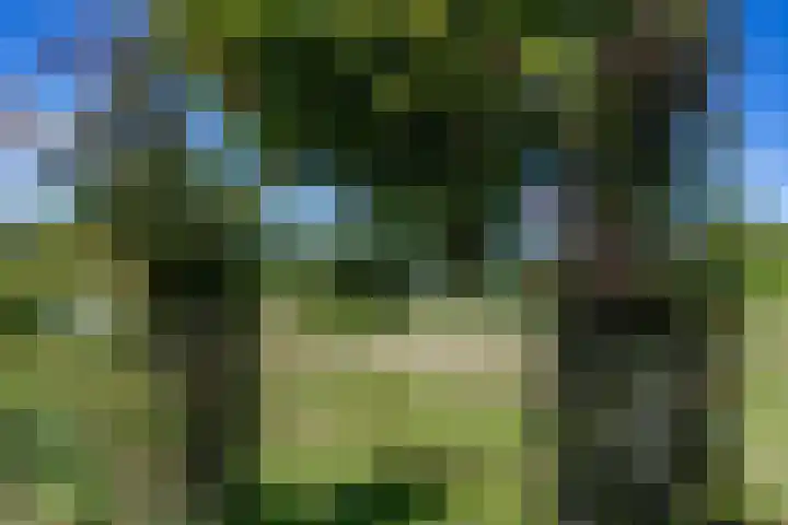 Boelewijk 5 De Wilp thumbnail 94