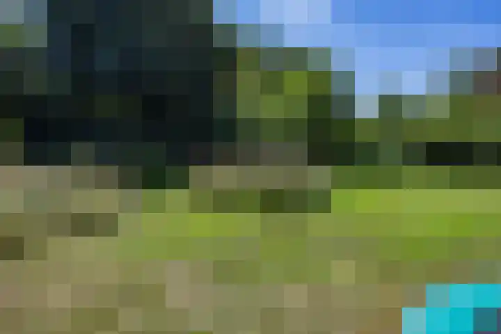 Boelewijk 5 De Wilp thumbnail 96