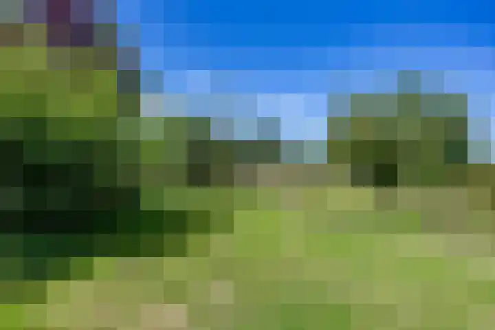 Boelewijk 5 De Wilp thumbnail 98