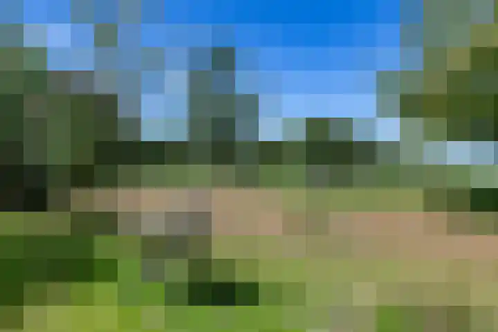 Boelewijk 5 De Wilp thumbnail 99