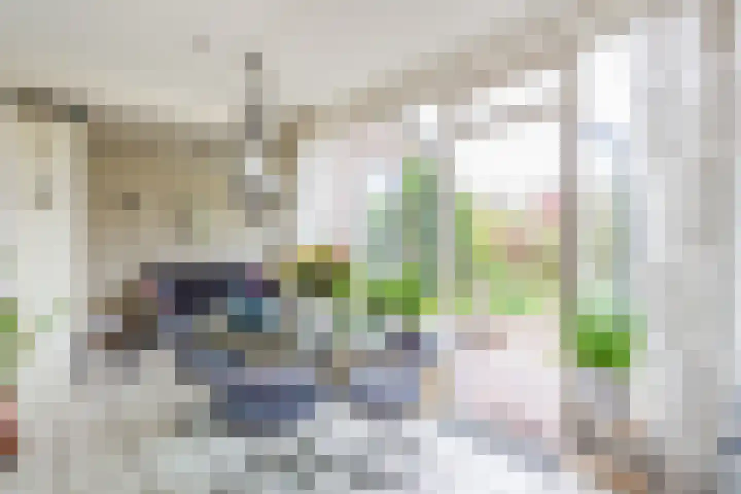 Boelhof 1 Dronten thumbnail 10