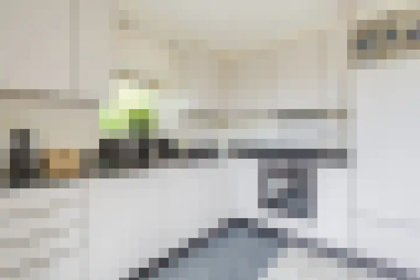 Boelhof 1 Dronten thumbnail 12