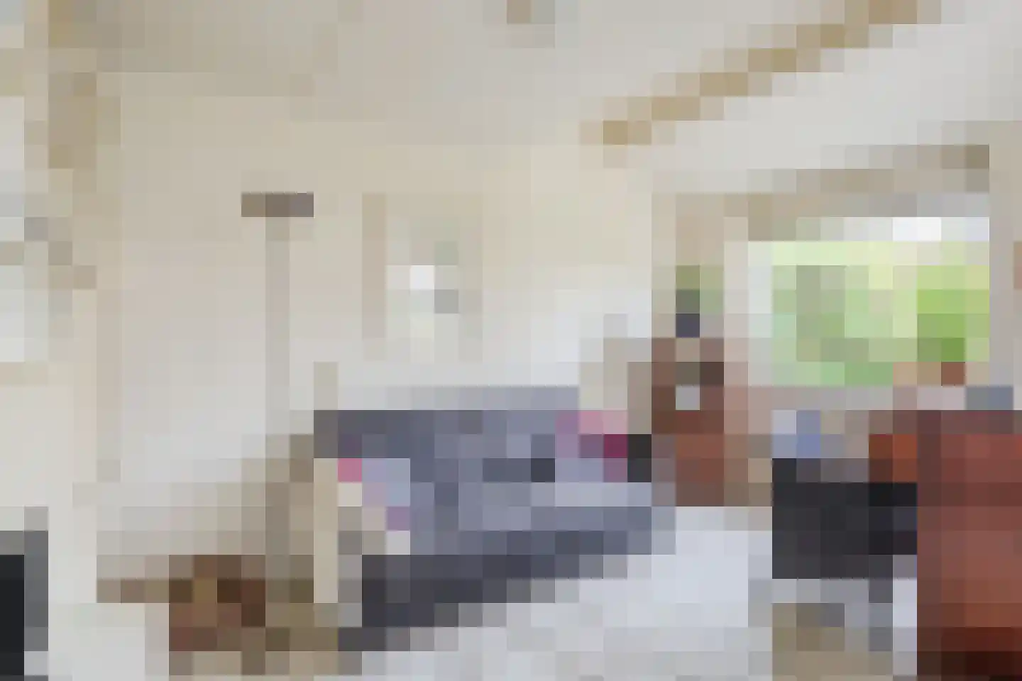 Boelhof 1 Dronten thumbnail 13