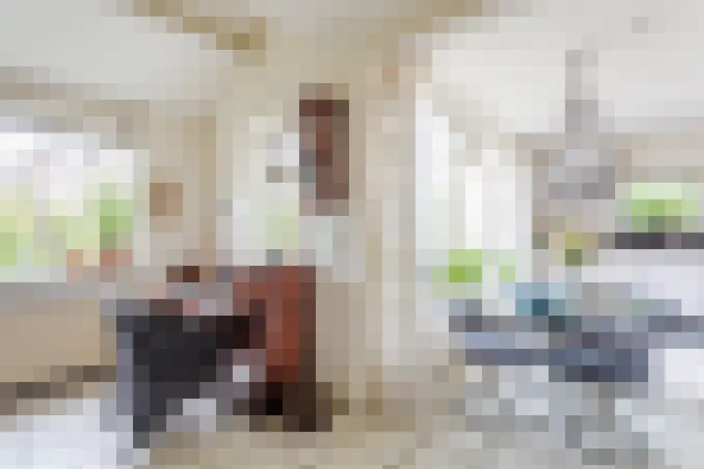 Boelhof 1 Dronten thumbnail 14