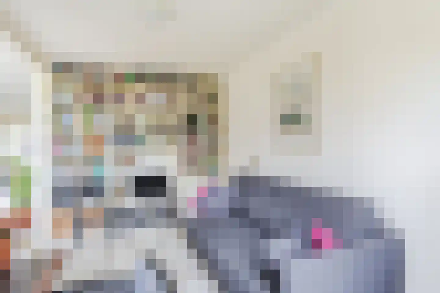 Boelhof 1 Dronten thumbnail 16