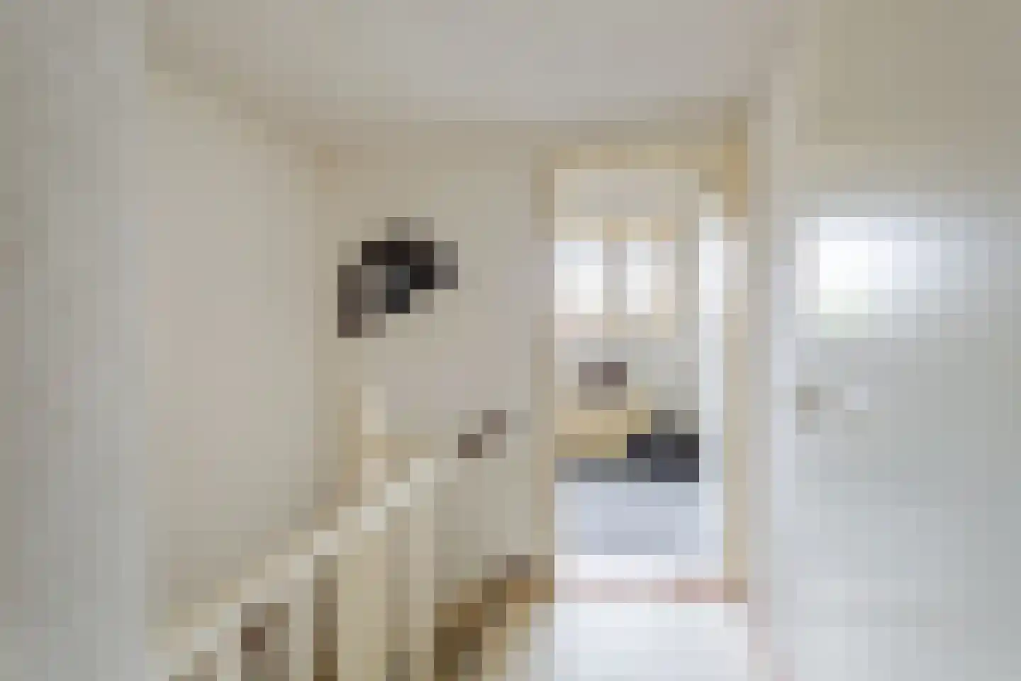 Boelhof 1 Dronten thumbnail 24