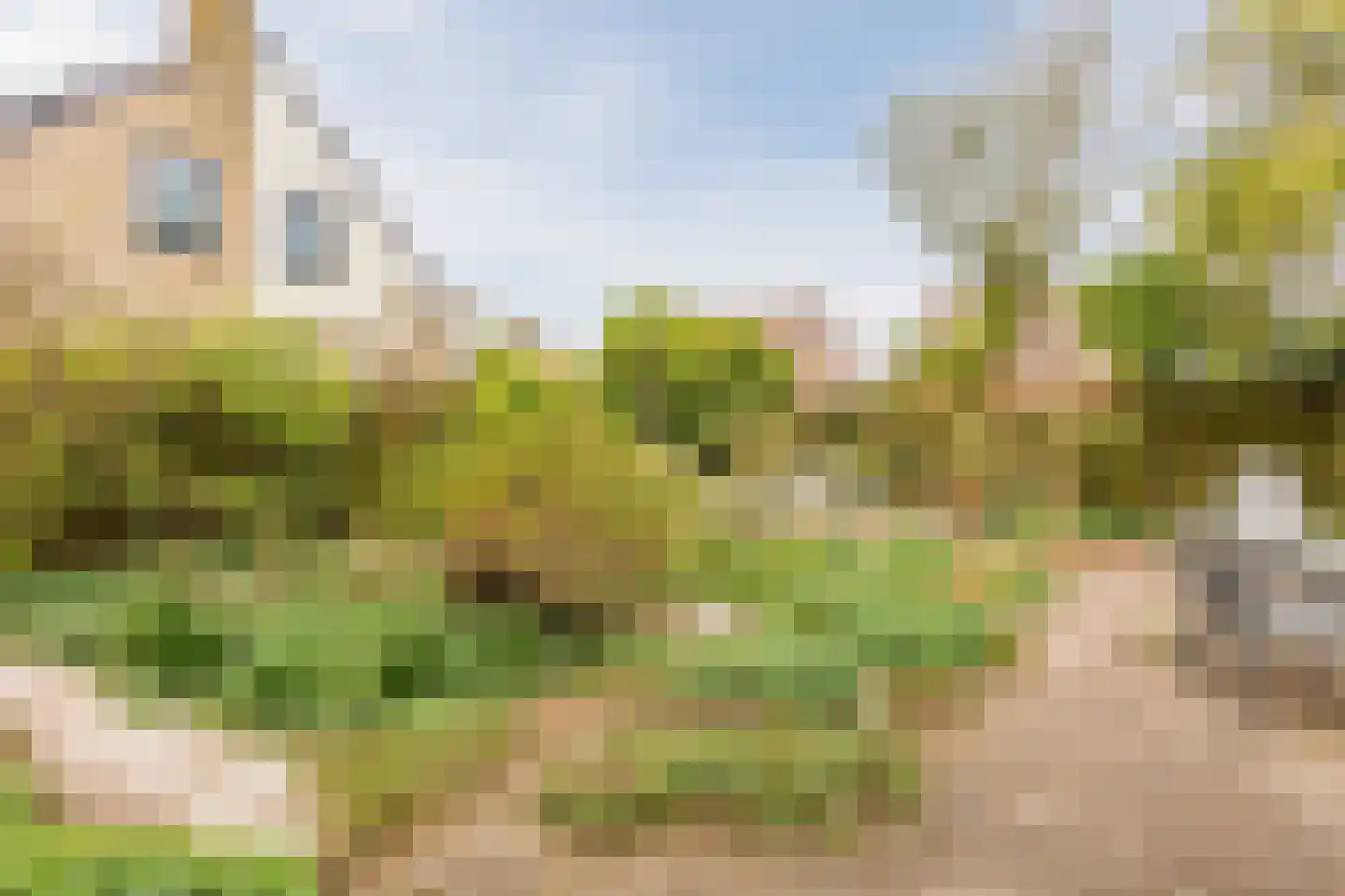 Boelhof 1 Dronten thumbnail 30
