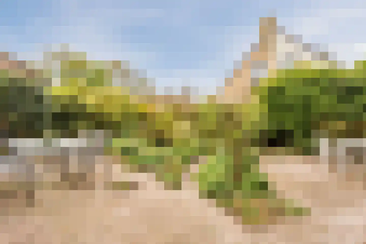 Boelhof 1 Dronten thumbnail 31