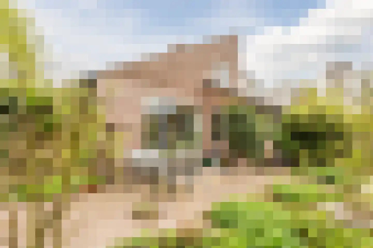 Boelhof 1 Dronten thumbnail 32