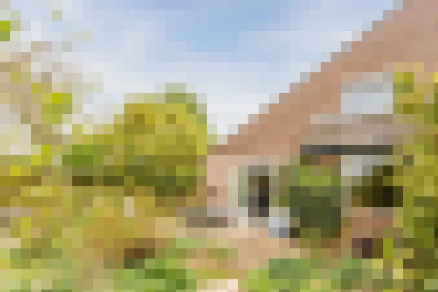 Boelhof 1 Dronten thumbnail 35