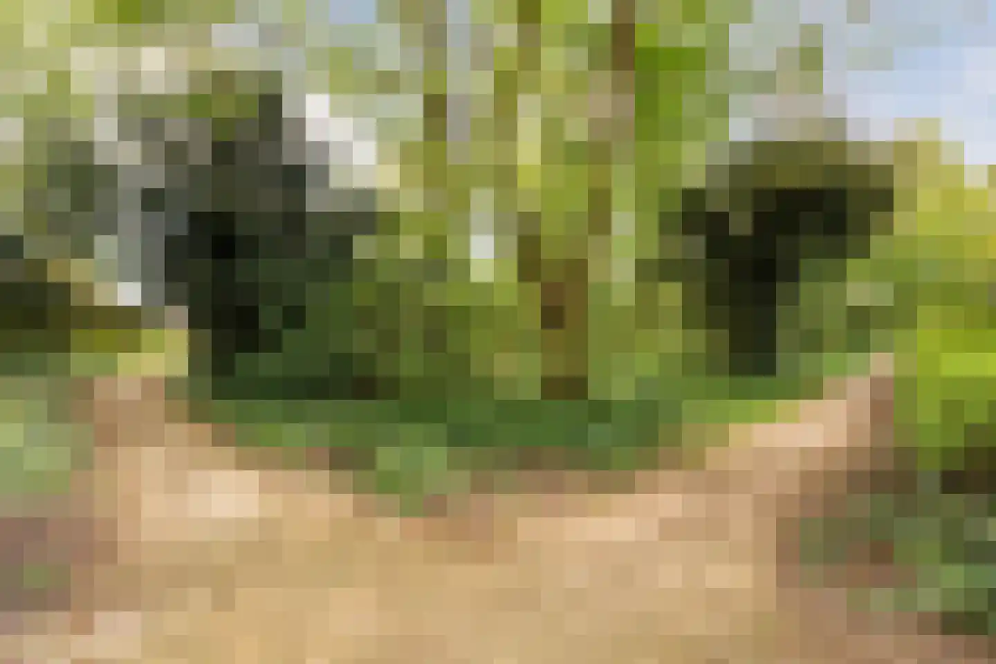Boelhof 1 Dronten thumbnail 36