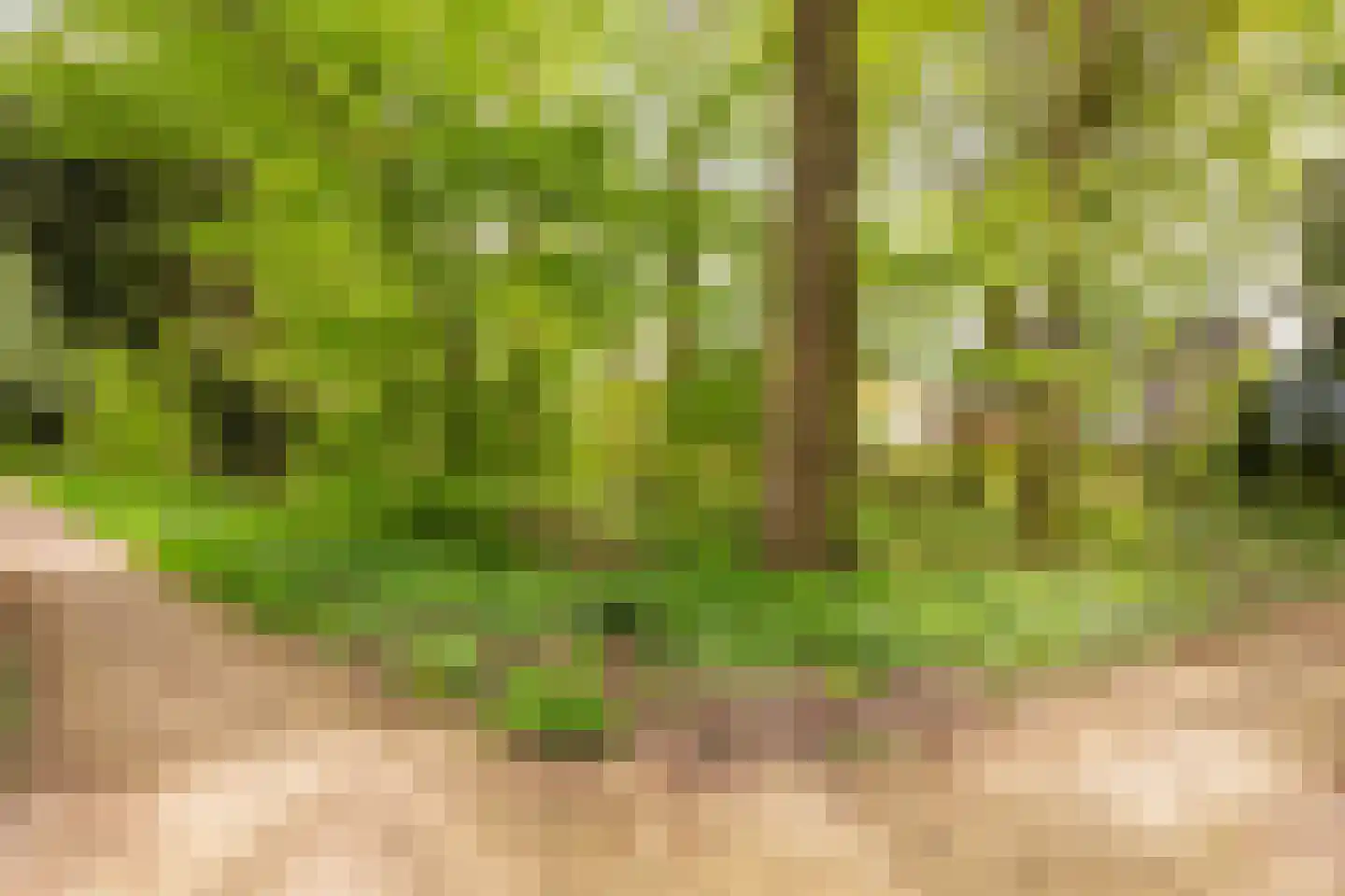 Boelhof 1 Dronten thumbnail 37
