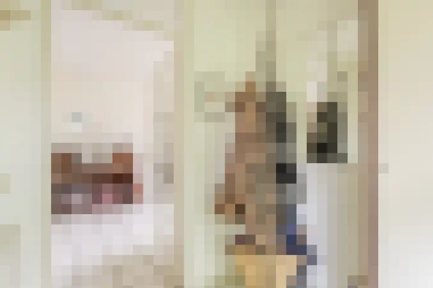 Boelhof 1 Dronten thumbnail 5