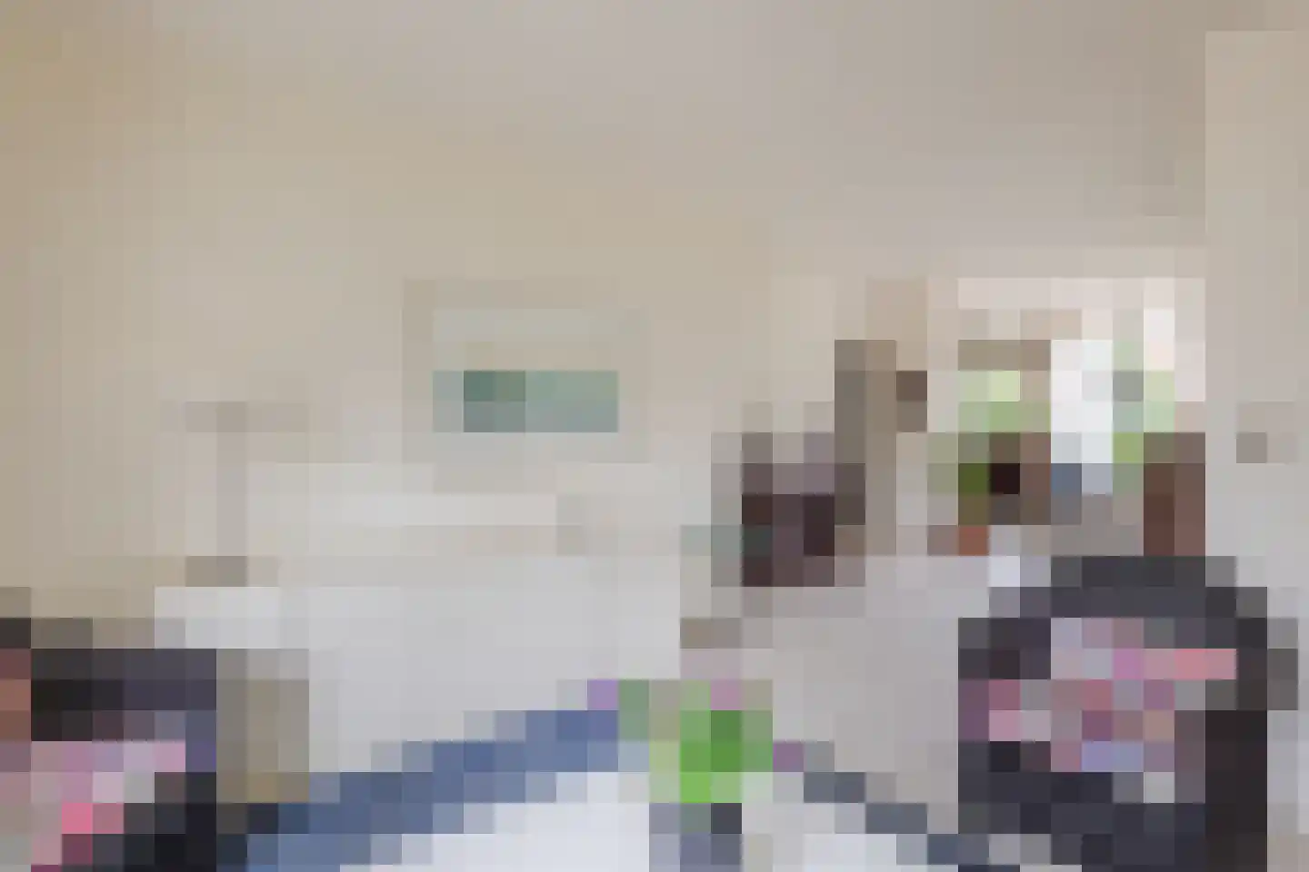 Boelhof 1 Dronten thumbnail 7