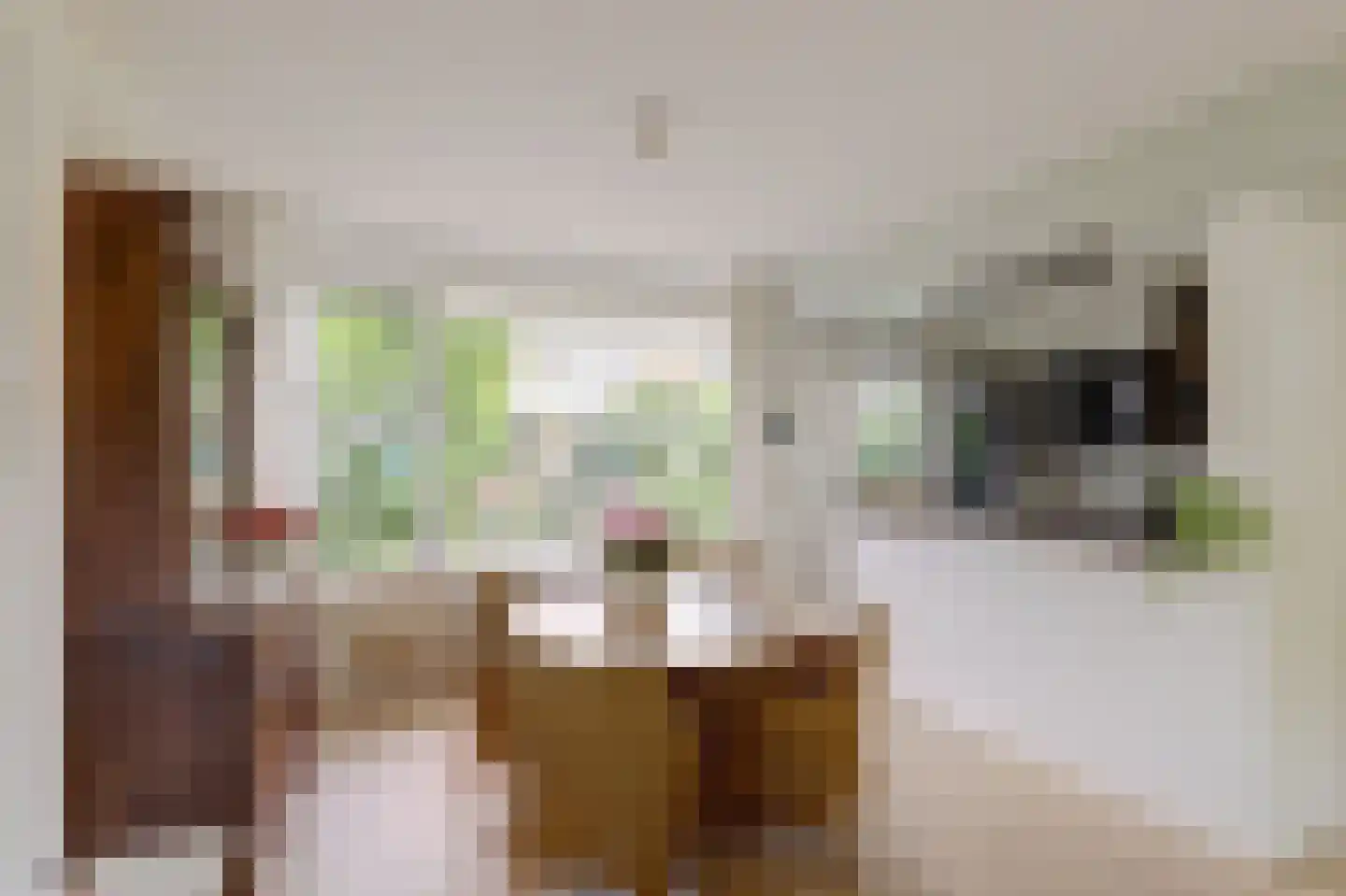 Boelhouwerstraat 1 Gouda thumbnail 10