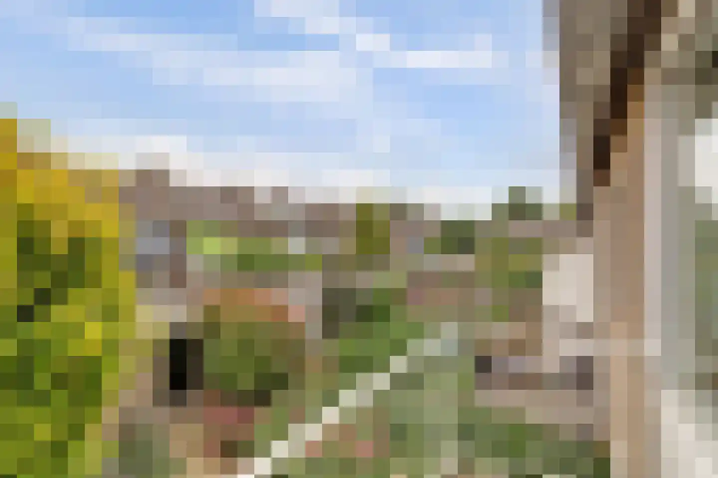 Boelhouwerstraat 1 Gouda thumbnail 24