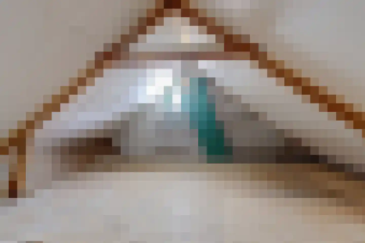 Boelhouwerstraat 1 Gouda thumbnail 26