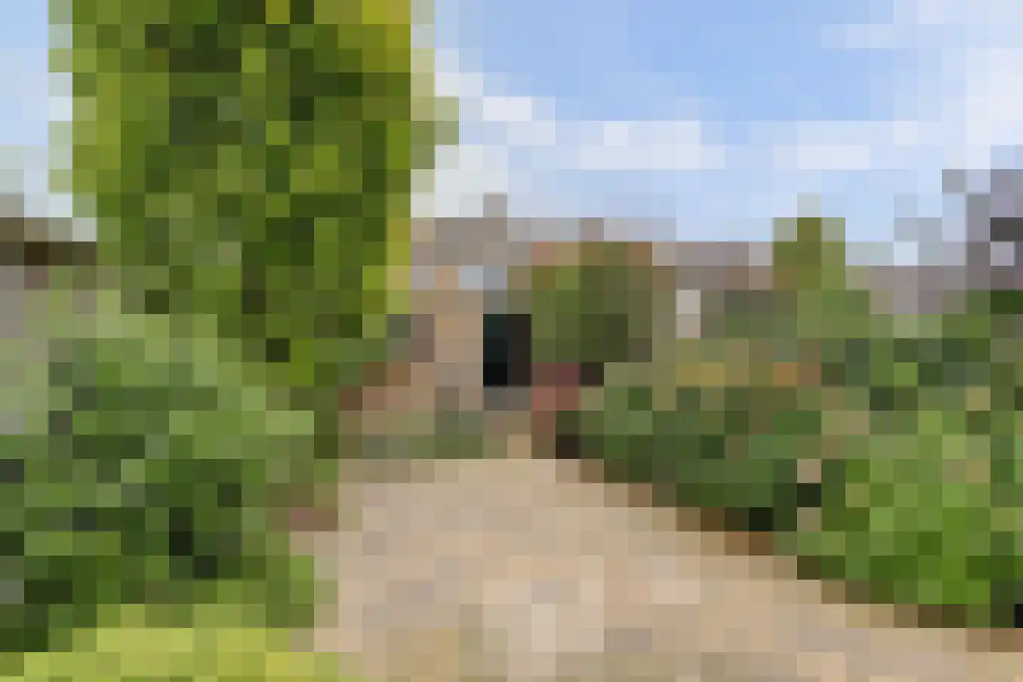 Boelhouwerstraat 1 Gouda thumbnail 33