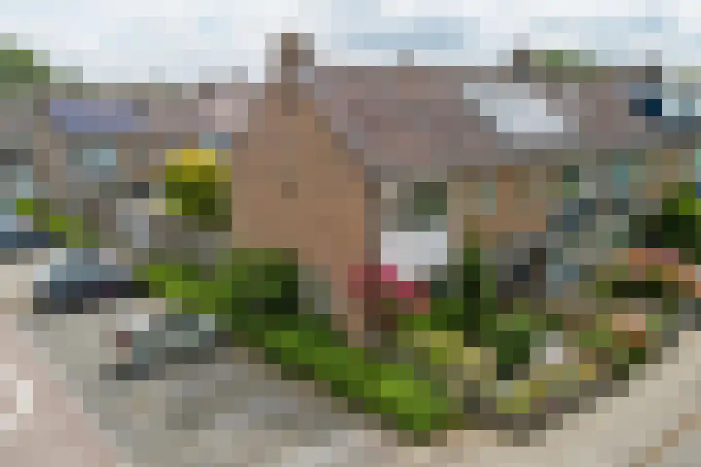 Boelhouwerstraat 1 Gouda thumbnail 36