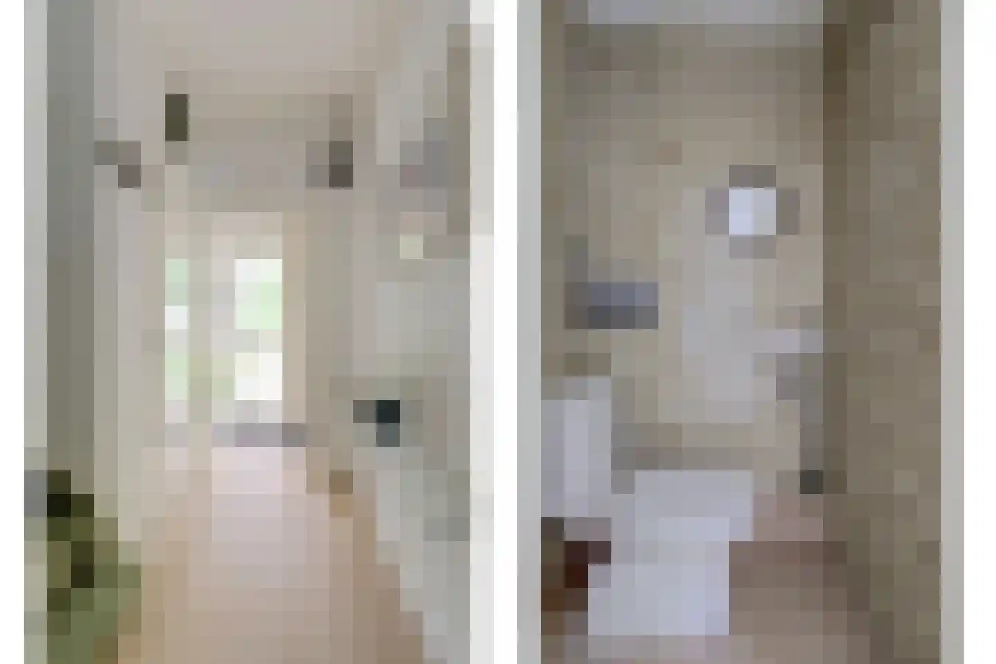 Boelhouwerstraat 1 Gouda thumbnail 6