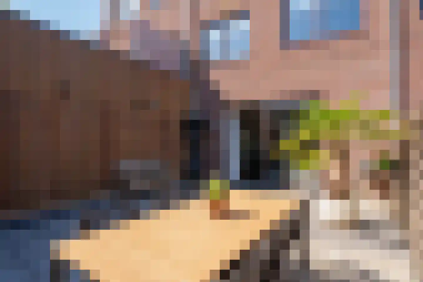 Boelijn 120 Almere thumbnail 38