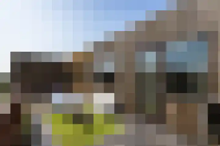 Boelijn 122 Almere thumbnail 5