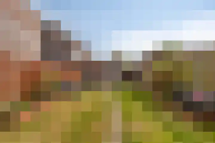 Boelijn 14 Almere thumbnail 15